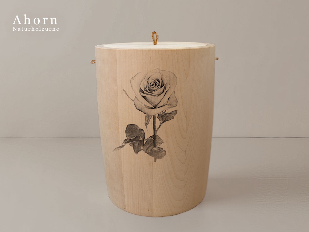 Rose 1